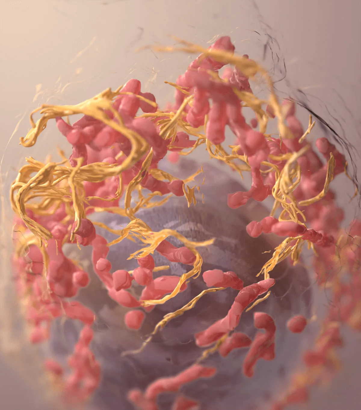 3D structure of a melanoma cell, photo credit: National Cancer Institute