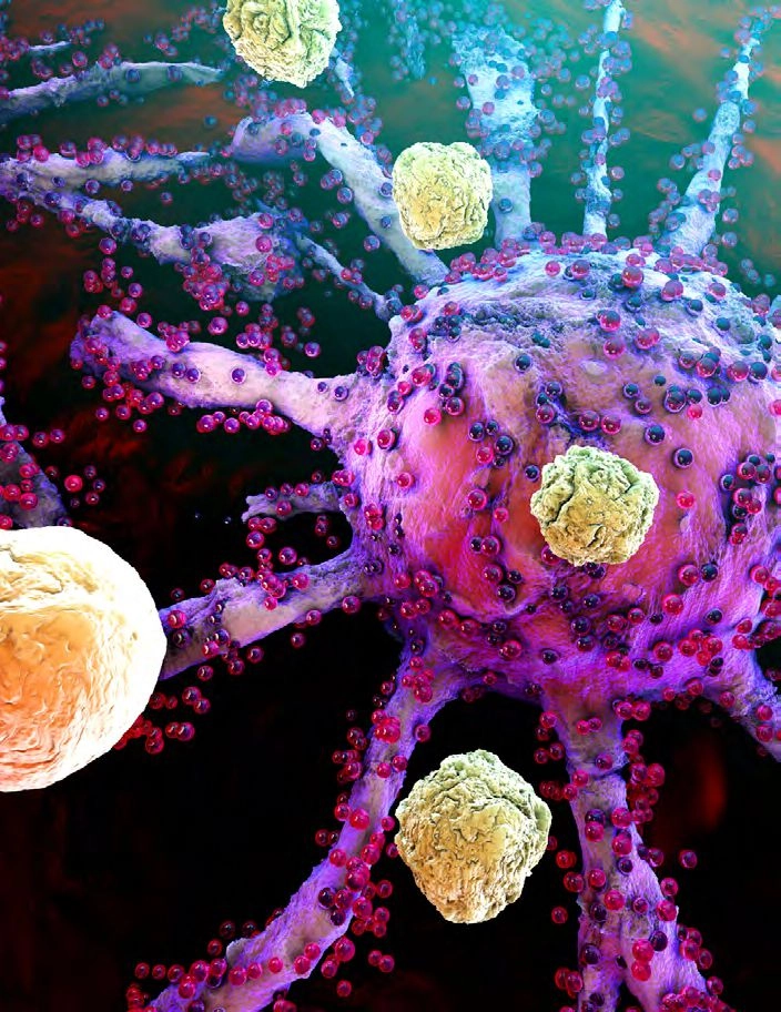 T-cells of the immune system attacking growing cancer cells